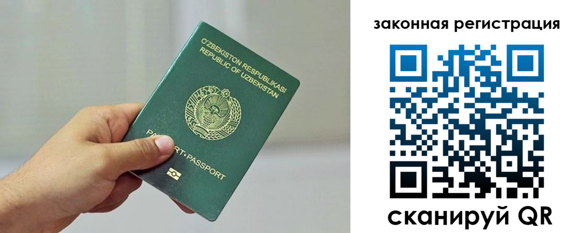 временная регистрация гарантия в Каргате